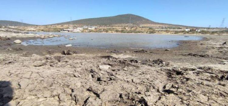 Sequía afecta a 33 mil hectáreas en Querétaro