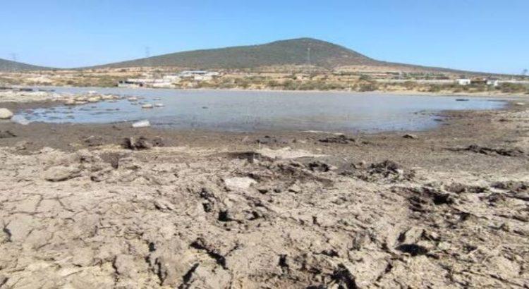 Sequía afecta a 33 mil hectáreas en Querétaro