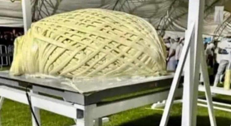 No se hagan bolas No se hagan bolas