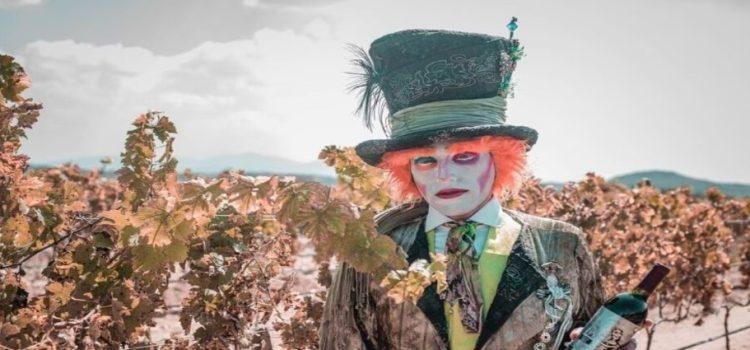 Vino y terror en viñedos de Querétaro