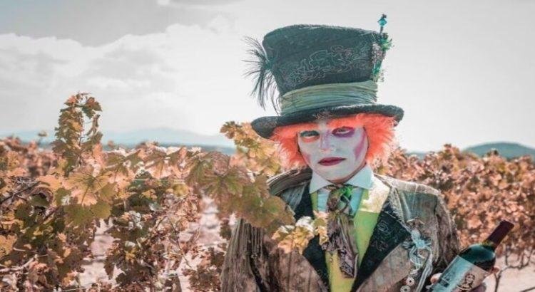 Vino y terror en viñedos de Querétaro
