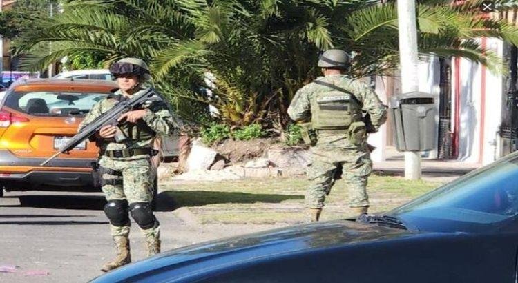 Son abandonadas unas hieleras con vísceras
