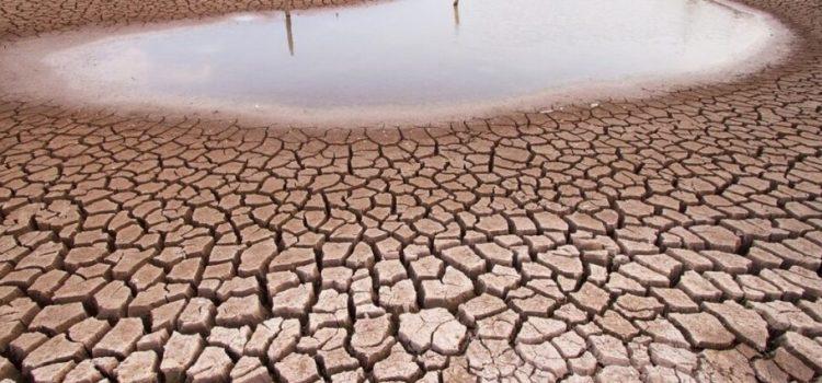 En coordinación las autoridades para enfrentar la sequía