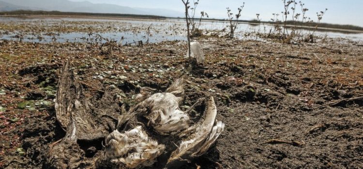 Se anuncia que hará tandeo de agua en municipios por sequía