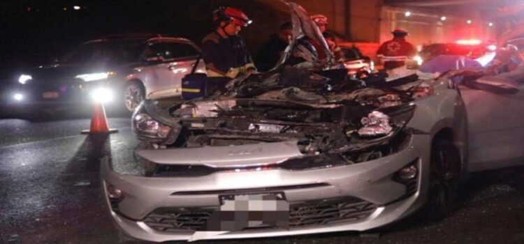 Automovilista junto con su perro pierden la vida en terrible choque en Querétaro