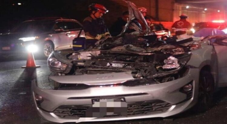 Automovilista junto con su perro pierden la vida en terrible choque en Querétaro
