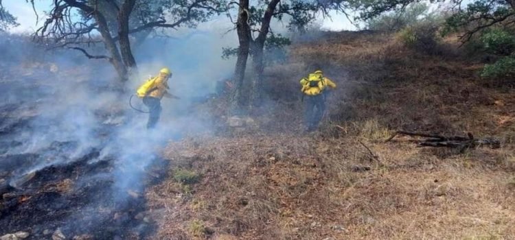 Van 29 incendios forestales en Querétaro