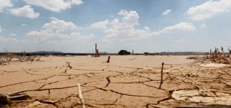 Estado de Querétaro se declara en emergencia por sequía severa