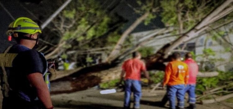 Son retirados varios Árboles caídos por fuertes vientos en Querétaro