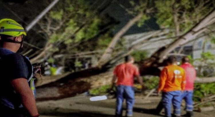 Son retirados varios Árboles caídos por fuertes vientos en Querétaro