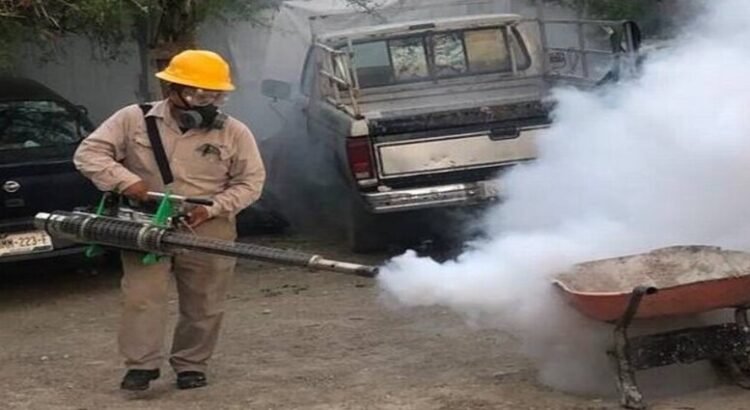 Reportan 67 casos positivos de dengue en el estado de Querétaro