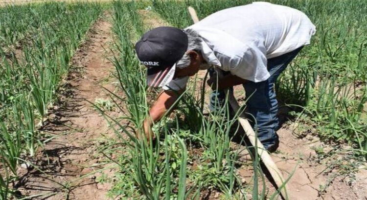 La industria, los servicios y la agricultura perdieron empleos en Querétaro