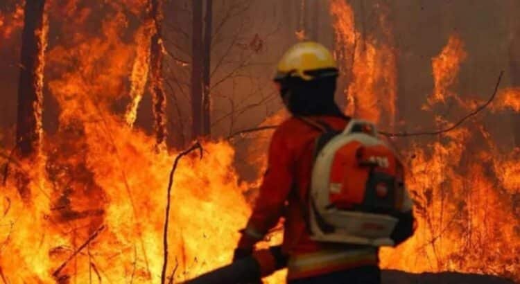 Bolivia enfrenta una emergencia nacional por incendios forestales: una crisis agravada por la sequía Bolivia enfrenta una emergencia nacional por incendios forestales: una crisis agravada por la sequía