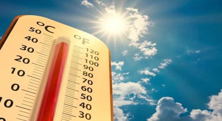 El Observatorio Ciudadano de Movilidad de Querétaro alerta sobre islas de calor