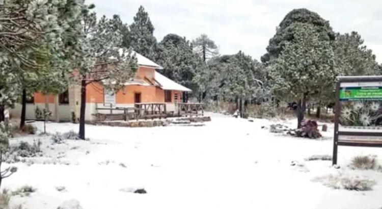 Blanca Navidad: se congelan en 4 estados