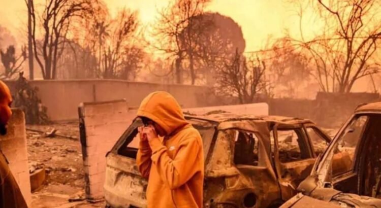 Incendios en Los Ángeles, los más costosos de la historia de Estados Unidos Incendios en Los Ángeles, los más costosos de la historia de Estados Unidos