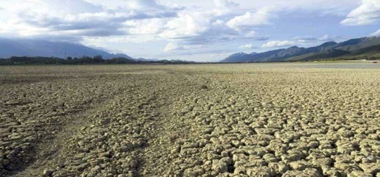 Ante la sequía extrema inicia el apoyo a 22 mil productores