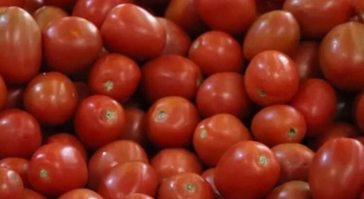 Estados Unidos impone nuevos aranceles al tomate mexicano
