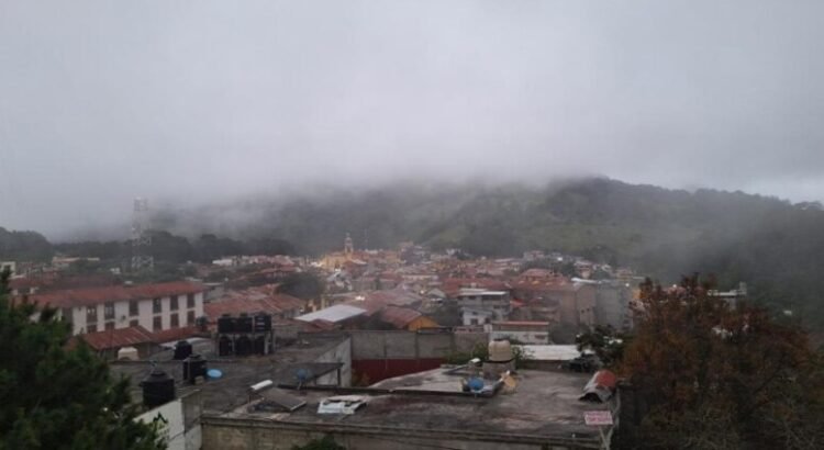 Estrategia para la conservación de los bosques, para aprovechar la industrialización en Querétaro