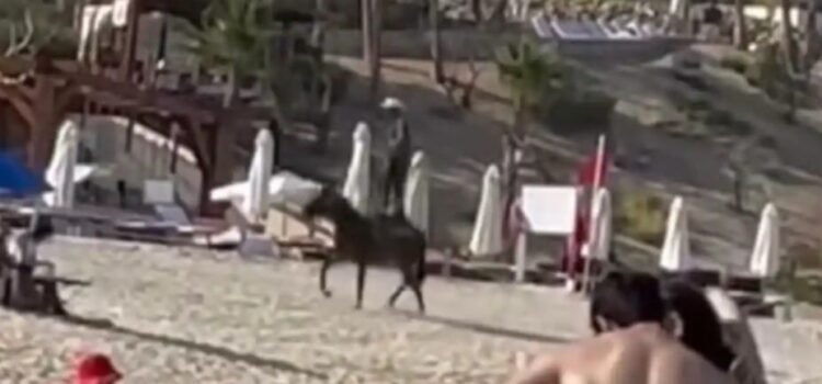 Jinete sorprende con acrobacias a caballo en playa cabeña