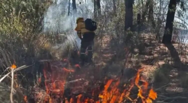 Temporada de Incendios Forestales 2025, la segunda más crítica de la historia