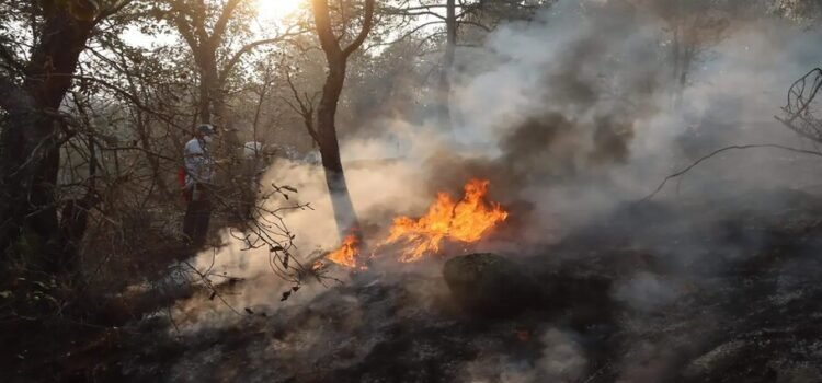 Los incendios afectaron a más de tres mil hectáreas en el estado de Querétaro