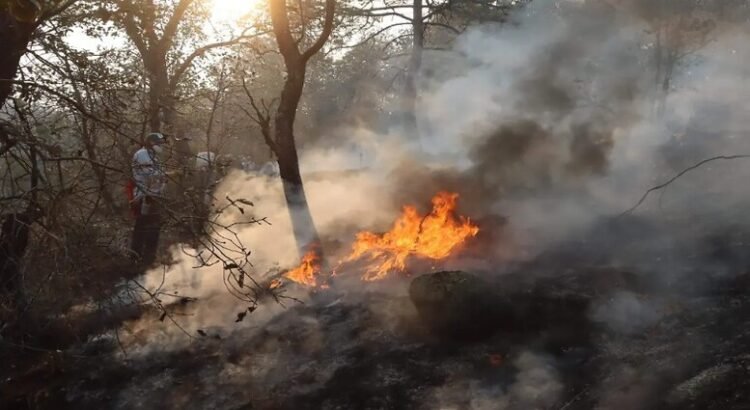 Los incendios afectaron a más de tres mil hectáreas en el estado de Querétaro