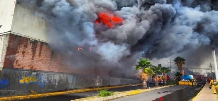 Una sucursal de Office Depot de Avenida del Parque se incendia y quedó en pérdida total
