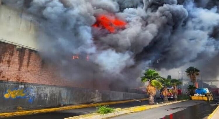 Una sucursal de Office Depot de Avenida del Parque se incendia y quedó en pérdida total