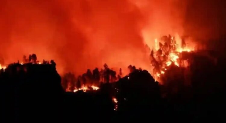 Crisis climática, “una amenaza urgente y existencial”: CIJ Crisis climática, “una amenaza urgente y existencial”: CIJ