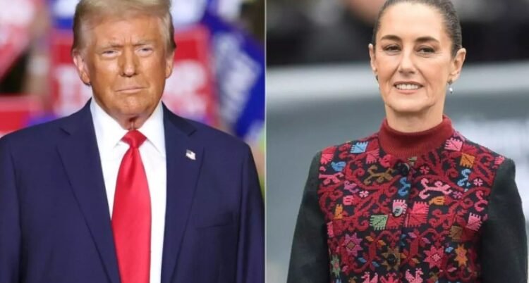 México y Canadá hacen lo que le decimos que hagan: Trump