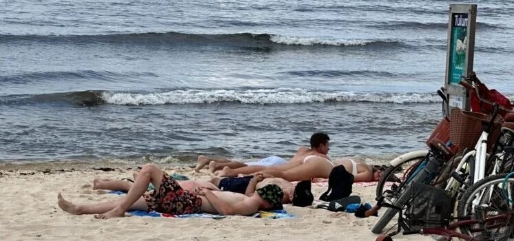Disminuye presencia de sargazo en playas de Tulum