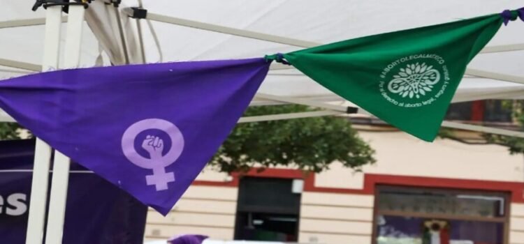 Con el aborto la Secretaría de Mujeres pedirá que avance la despenalización