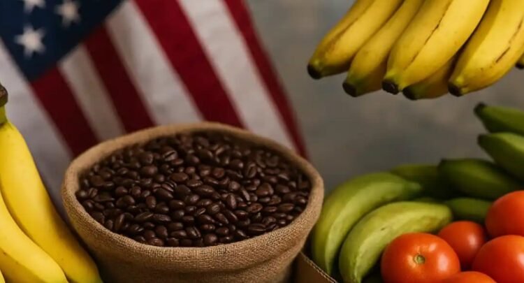 Retira Estados Unidos algunos aranceles agrícolas