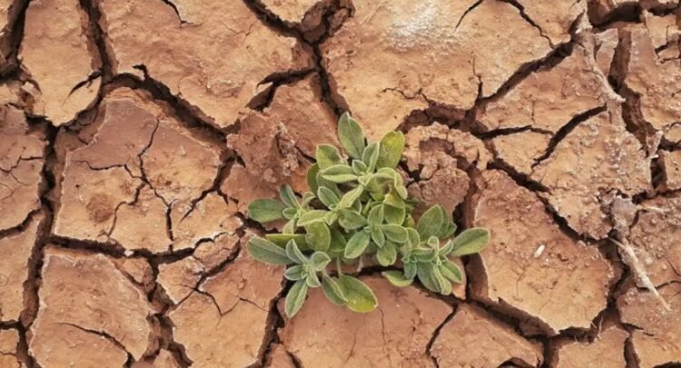 Se dirige el planeta hacia un catastrófico calentamiento de 2.5°C advierte la ONU