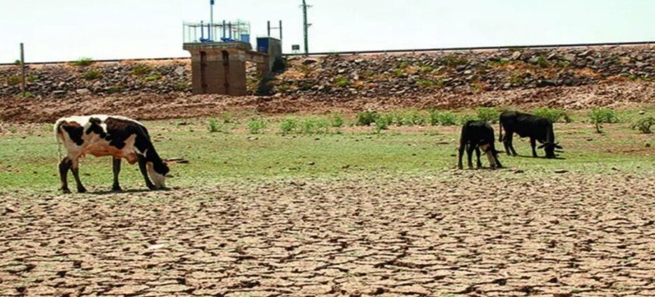 Las inclemencias climáticas golpean a 20 mil productores en el estado de Querétaro